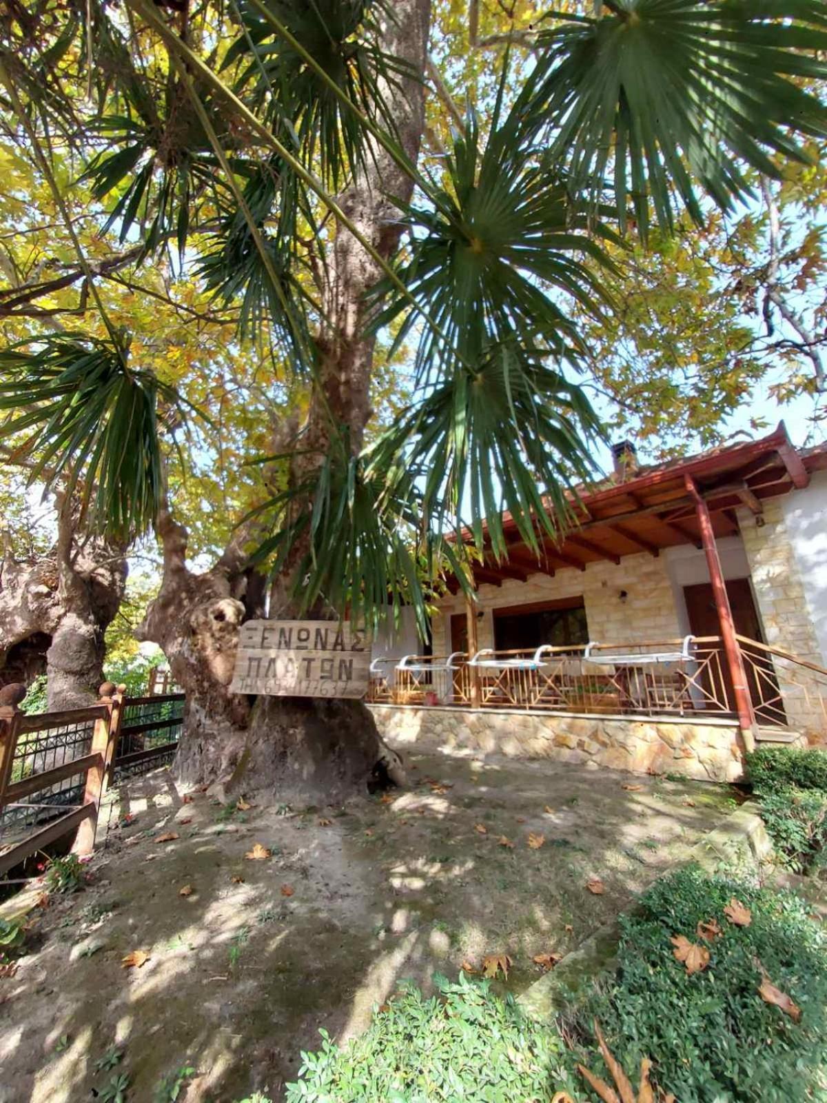 Guesthouse Platon Orma Exterior photo