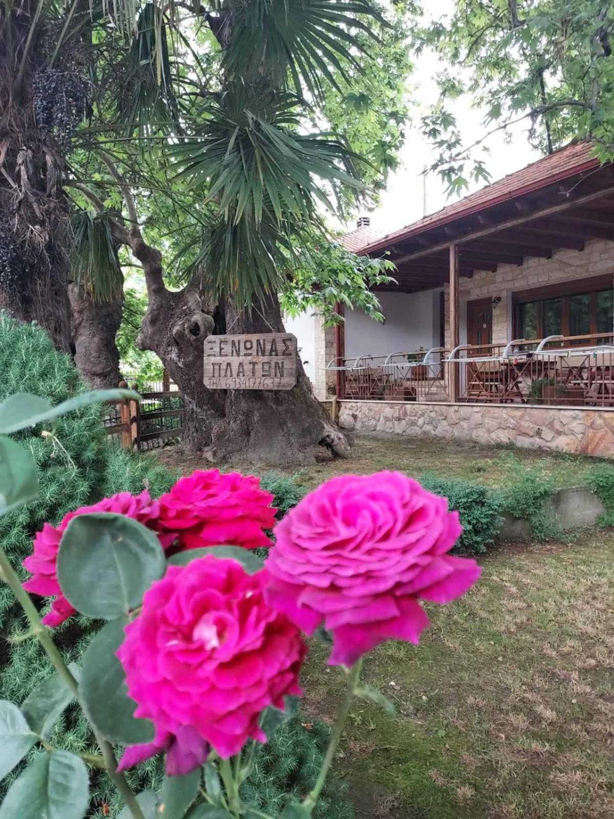 Guesthouse Platon Orma Exterior photo