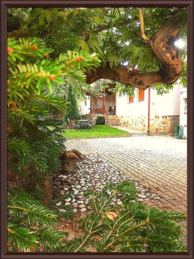 Guesthouse Platon Orma Exterior photo