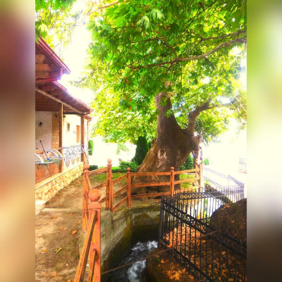 Guesthouse Platon Orma Exterior photo
