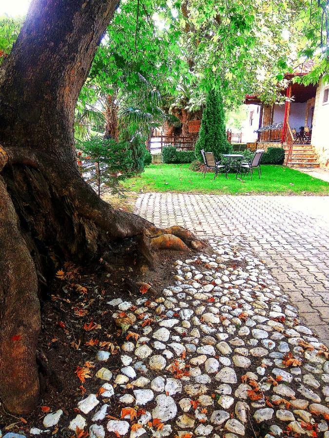 Guesthouse Platon Orma Exterior photo